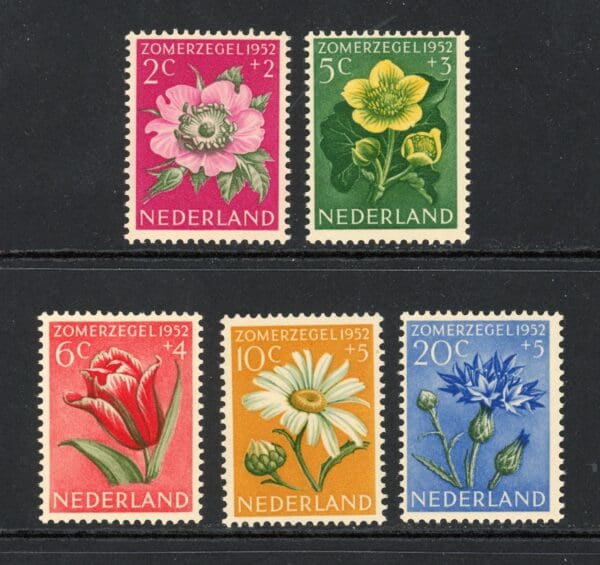 Netherlands B238-B242 1952 Flowers