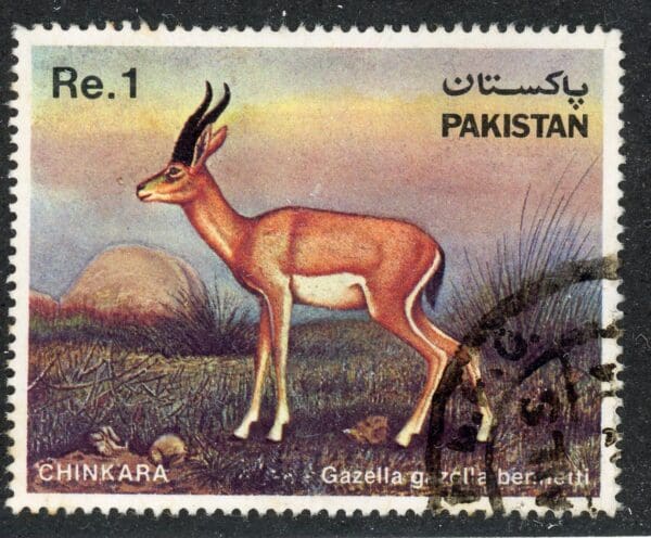 Pakistan 587 U 1983 1r Gazelle