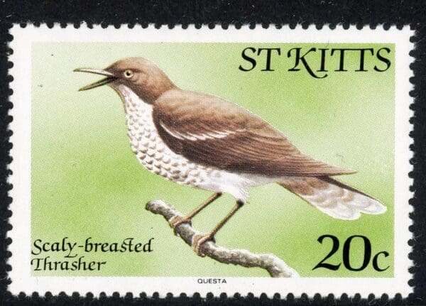 St. Kitts 56 MNH 20c 1981