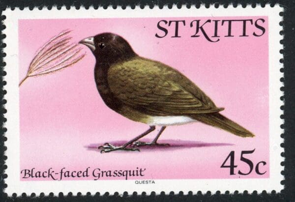 St. Kitts 60 MNH 45c 1981