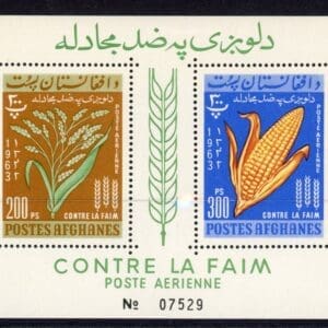 Afghanistan C45 S/S 1963 Freedom From Hunger 200p and 300p